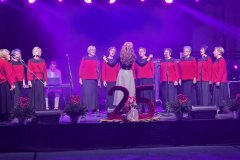 1_viber_slika_2025-11-22_23-15-47-211