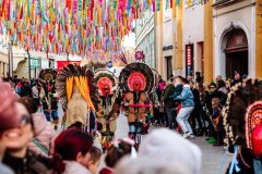 481682805_1196122592516422_8555917397655663156_n