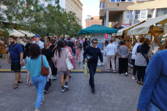 IMG-69a5446d47f4d892c586eb4ab1451875-V