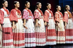 koncert-lado-donja-stubica-1