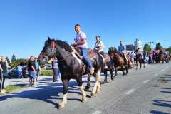 viber_slika_2025-08-24_09-13-17-541