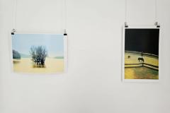 615784579_1209568597974760_7334484975958229902_n