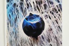 618486248_1209567907974829_4357847837773388105_n