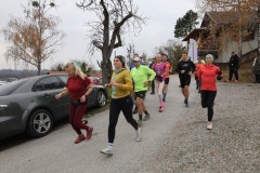 ztl-lis-15-–-kopija