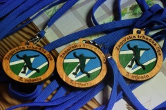 ztl-lis-197-–-kopija