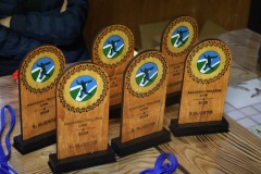 ztl-lis-200-–-kopija