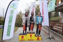 ztl-lis-216-–-kopija