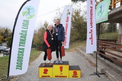 ztl-lis-218-–-kopija