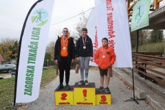 ztl-lis-219-–-kopija