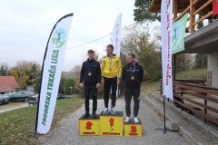 ztl-lis-228-–-kopija