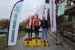 ztl-lis-230-–-kopija