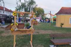 viber_slika_2025-07-11_20-23-30-432