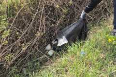 671314687_1272839218367839_7147715221332018832_n