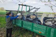 671785632_1272839395034488_102911489872318571_n