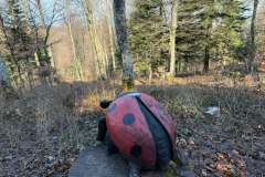 Ivanscica-dodatne-13