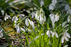 Ivanscica_park_prirode-13